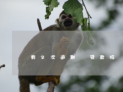 有2次逾期 贷款吗 有2次逾期 贷款吗